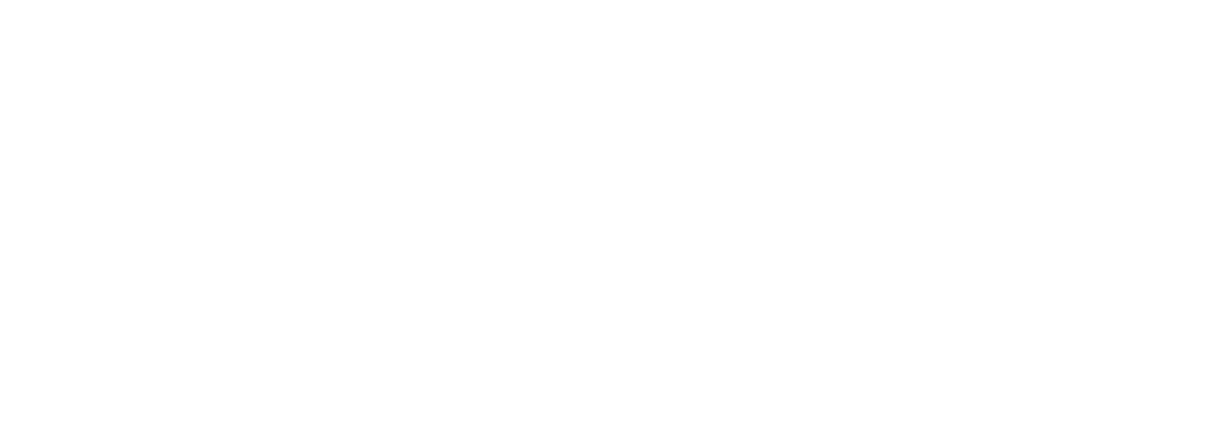 DataSone